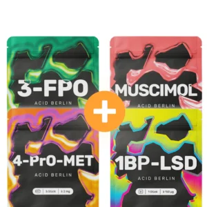 Diverse Labor Bundle